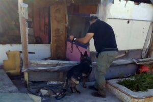 Αστυνομική επιχείρηση ΡΟΜΑ Καρακόνερο