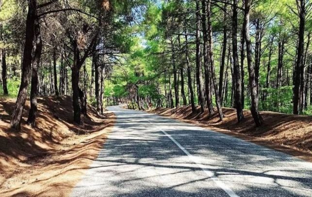 Πολιτική Προστασία της Περιφέρειας: Απαγόρευση μετακίνησης σε δάση, περιοχές Natura και άλση