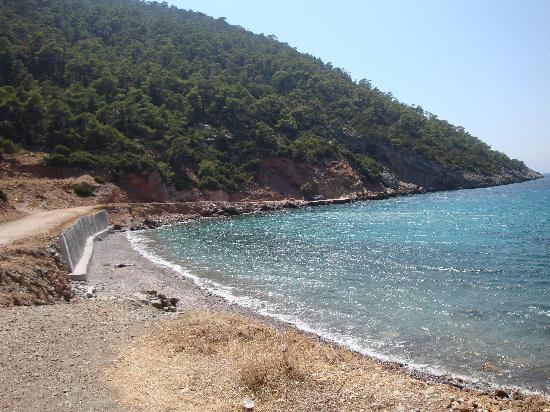 Νορβηγός τουρίστας σκηνοθέτησε την εξαφάνισή του και τον βρήκαν να κοιμάται μέσα σε θάμνους
