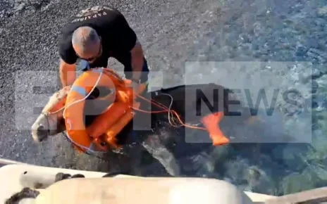 Κάρπαθος: Μέσα από τη θάλασσα έσωσαν δύο γαϊδούρια από απόκρημνη και ερημική παραλία