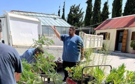 Συνεχίζει τις παραδόσεις φυτών το Περιφερειακό Φυτώριο Νοτίου Αιγαίου