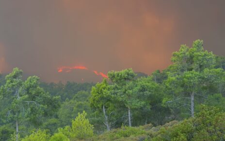 Η φωτιά περνάει πάνω από την Μονή Υψένης και καίει τα πάντα