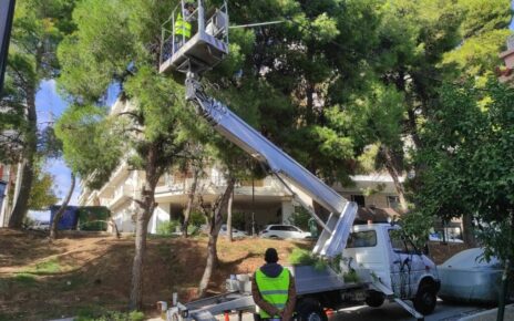 Κυκλοφοριακές ρυθμίσεις στην οδό Σοφούλη λόγω κλαδέματος